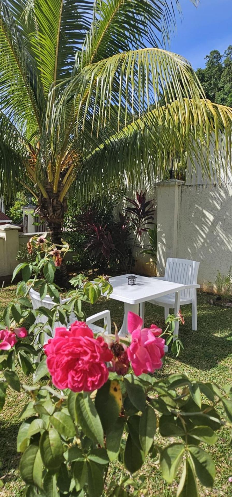 Emma'S Guest House And Self-Catering Au Cap Екстериор снимка