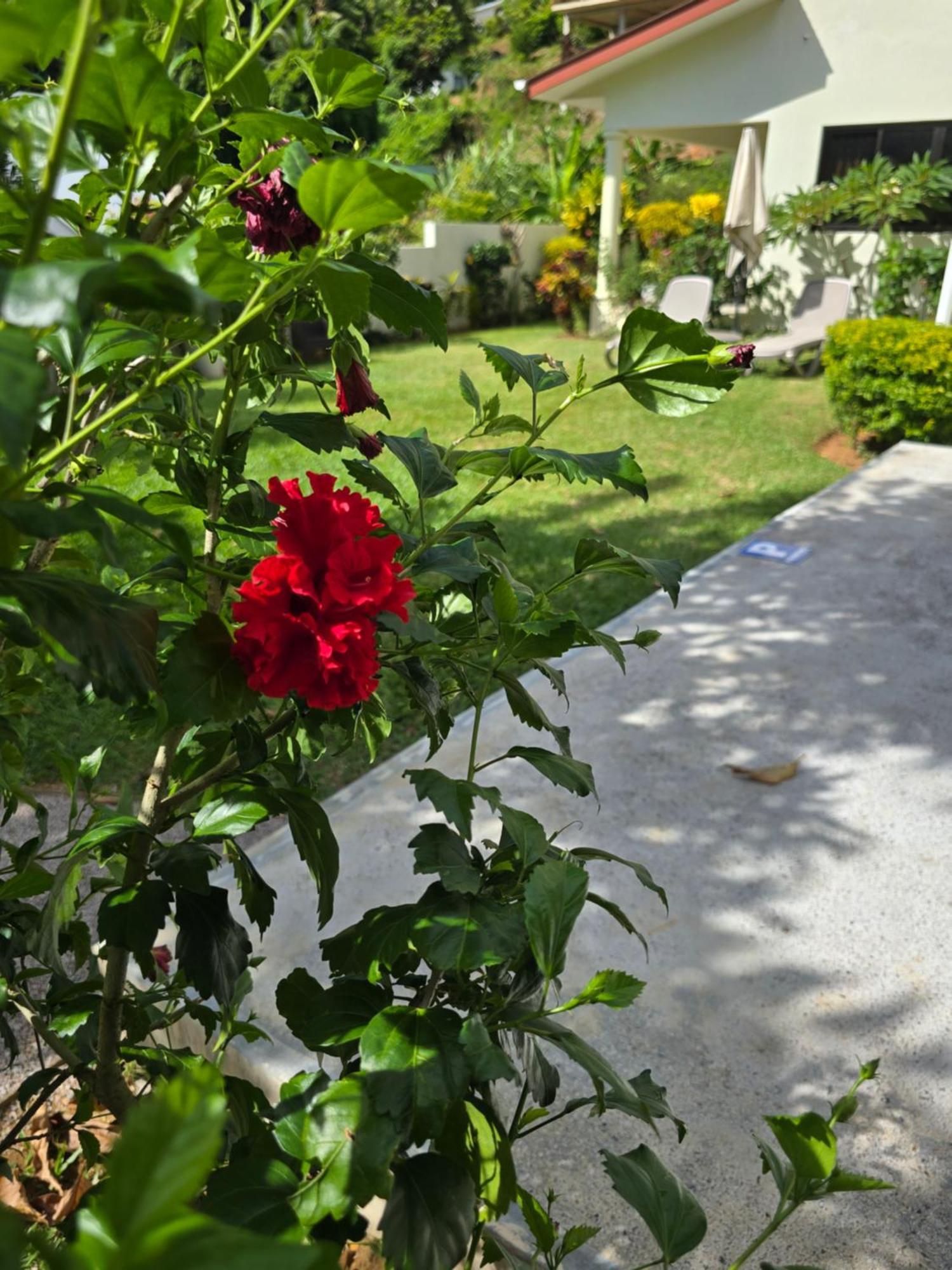 Emma'S Guest House And Self-Catering Au Cap Екстериор снимка