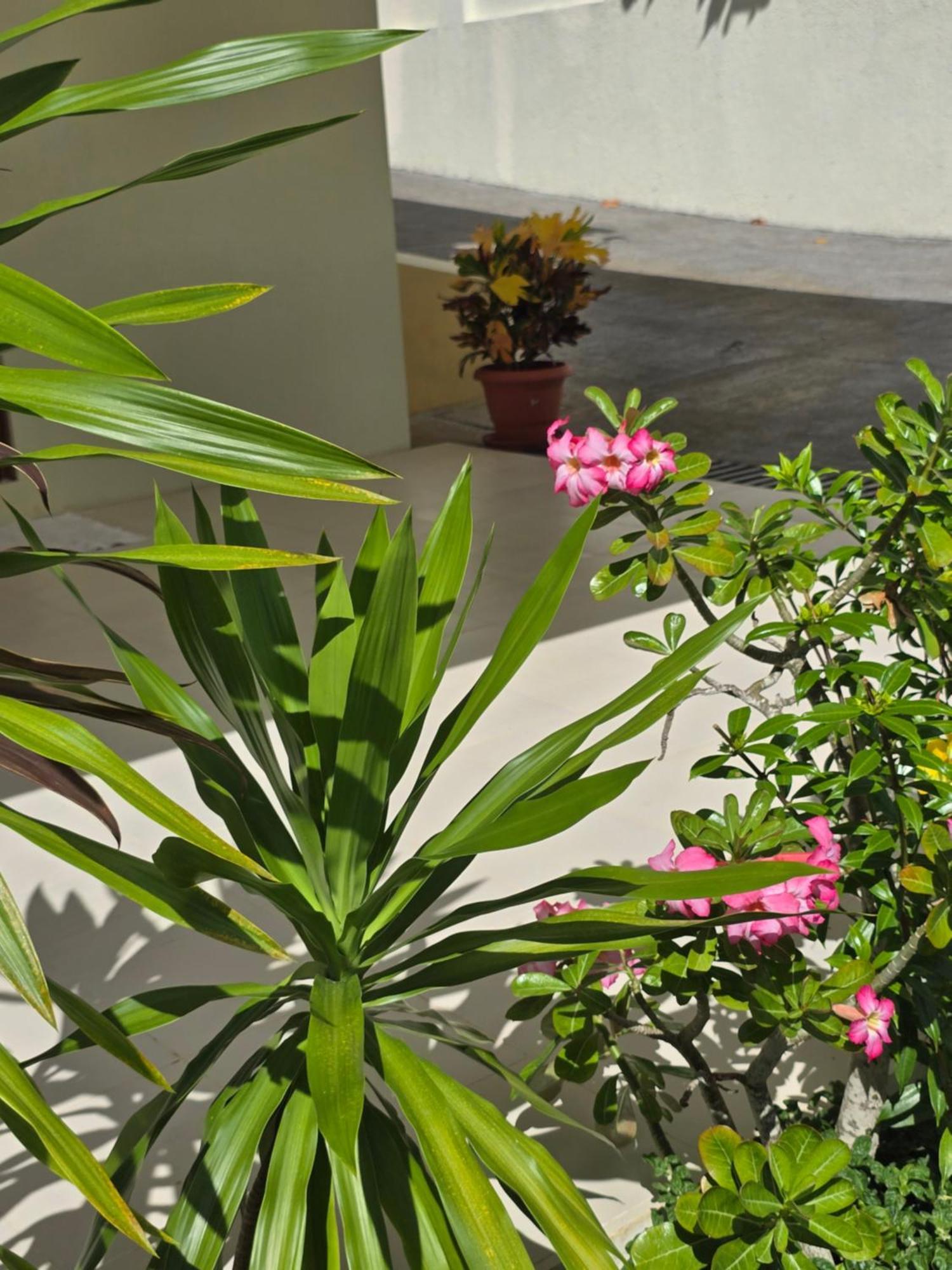 Emma'S Guest House And Self-Catering Au Cap Екстериор снимка